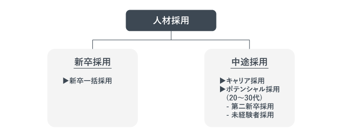 新卒採用と中途採用の違いについての画像