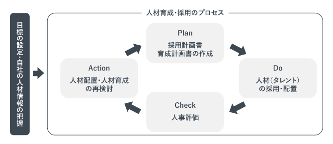 人材育成・採用のプロセス